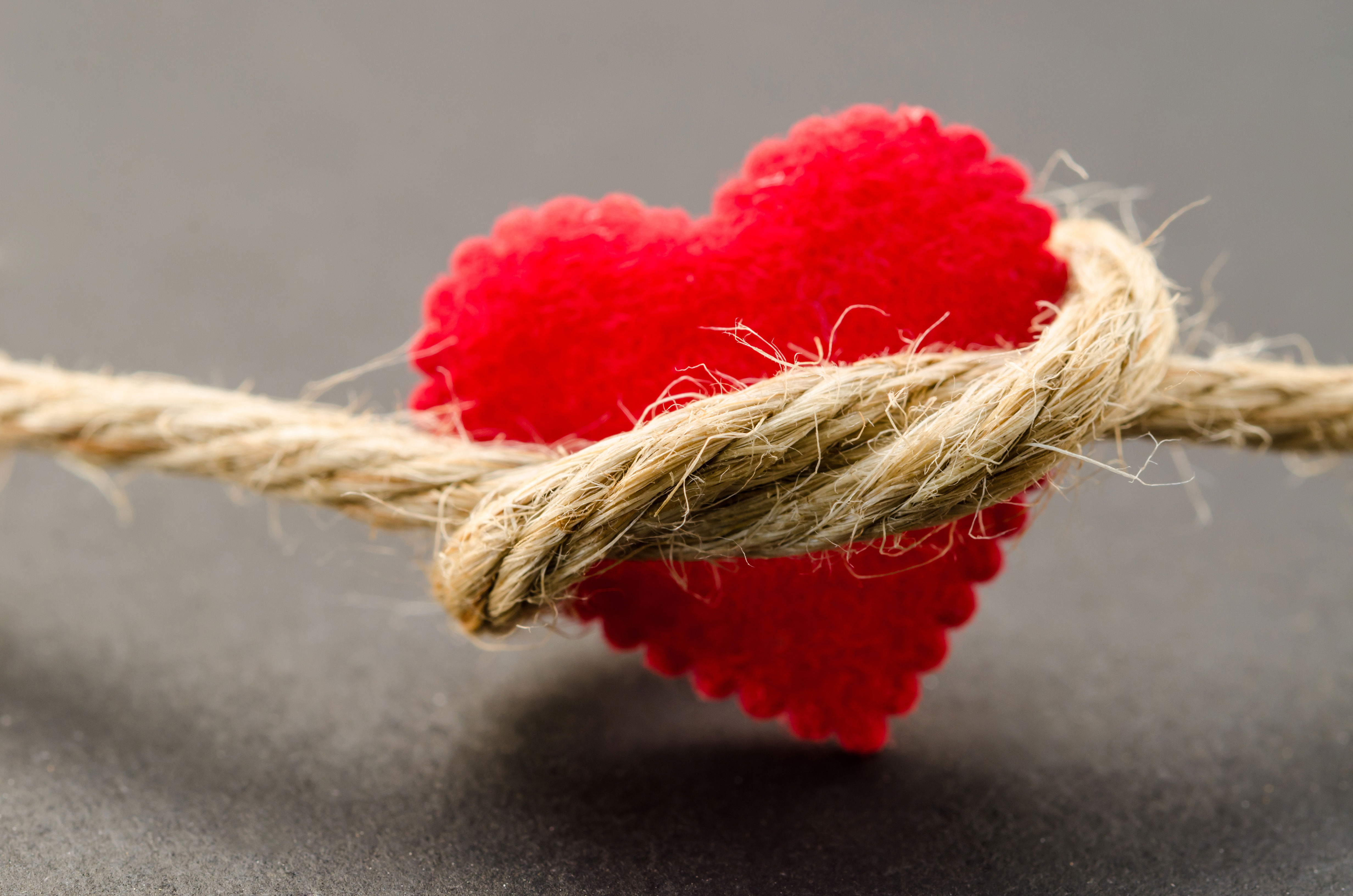 Bundle Of Love Shutterstock 428708917
